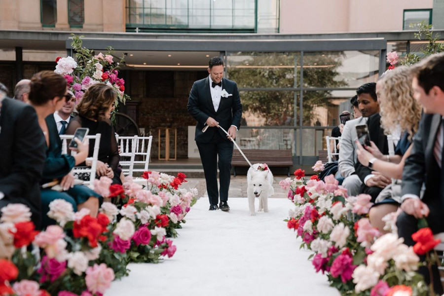 Все о домашних животных на свадьбе
