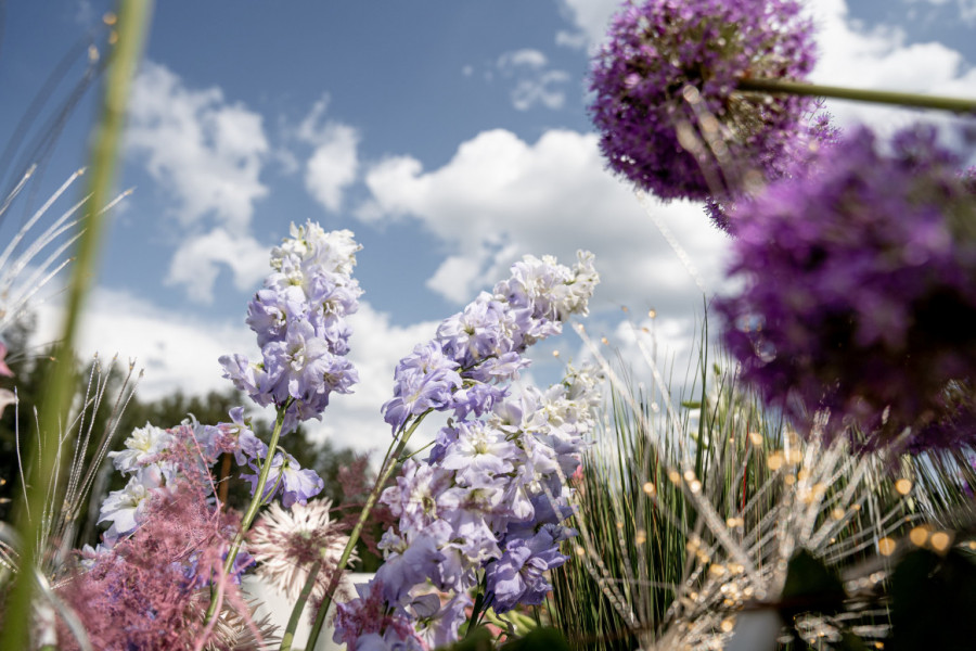 Фанина Открытка: вечерняя церемония, волшебные огни и