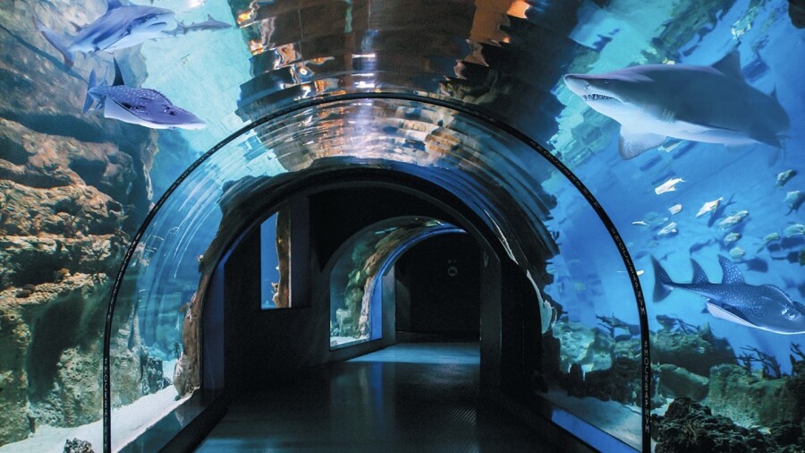 Необычные площадки для выездной регистрации брака в