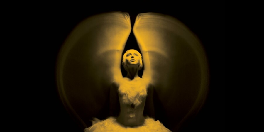 Чем заняться на майские праздники в Петербурге?