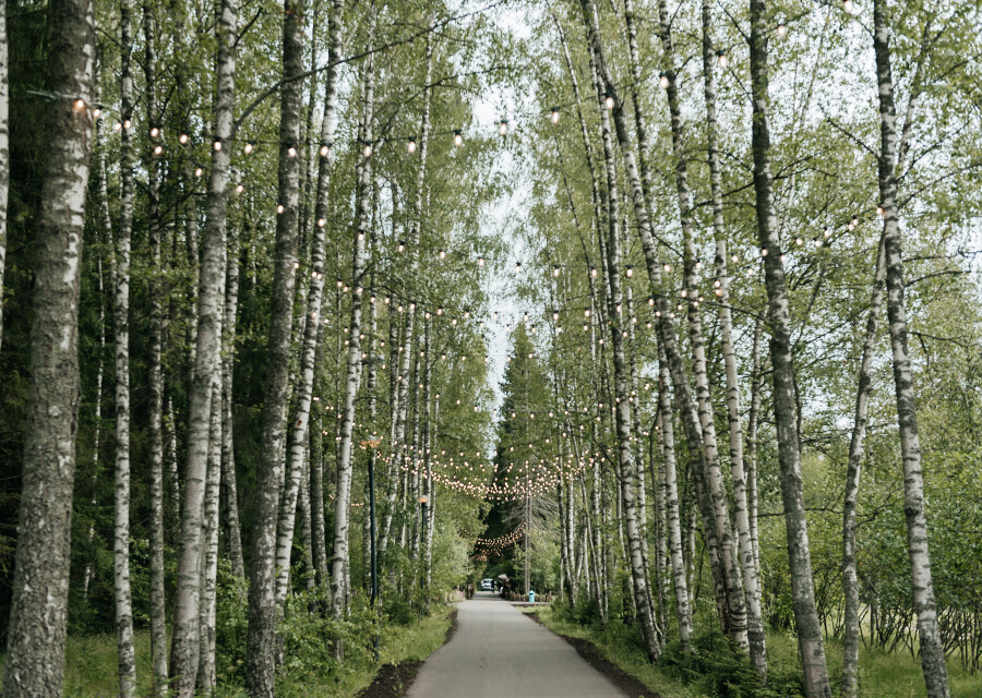 Скандинавский интерьер, закрытая территория и заповедный лес