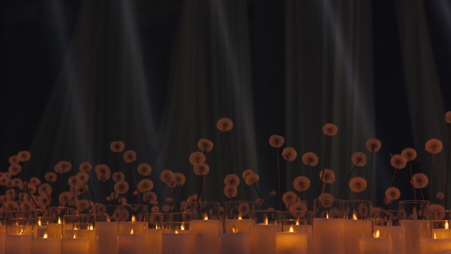 «Нас выбирают, потому что у нас нет