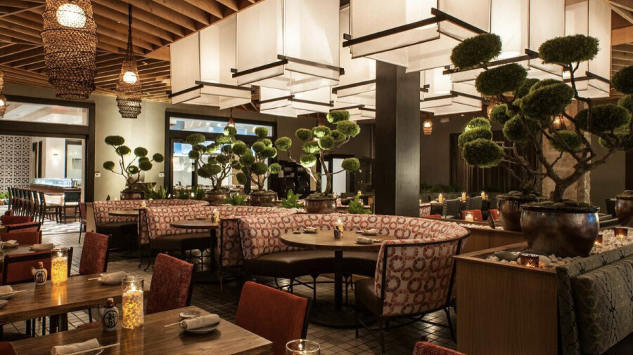 10 стильных баров для девичника в Сочи