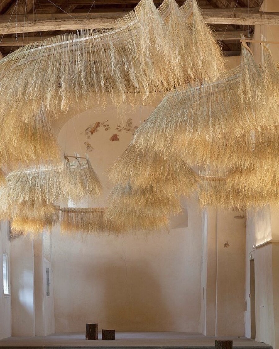 Идеи свадебных арок для тех, кто готов