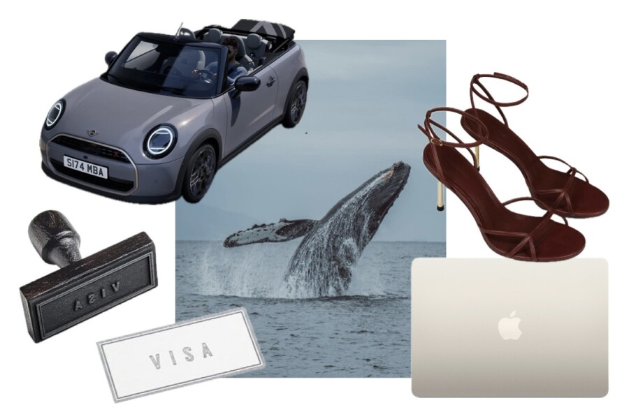 Здравствуй, Дедушка Мороз! Ты подарки нам принес?