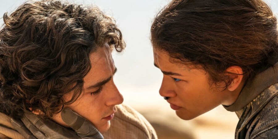 Киносезон-2024: кинокритик Егор Москвитин о главных трендах,