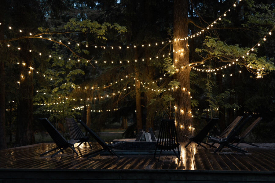 До заповедного парка — 2 км. Рассказываем, почему