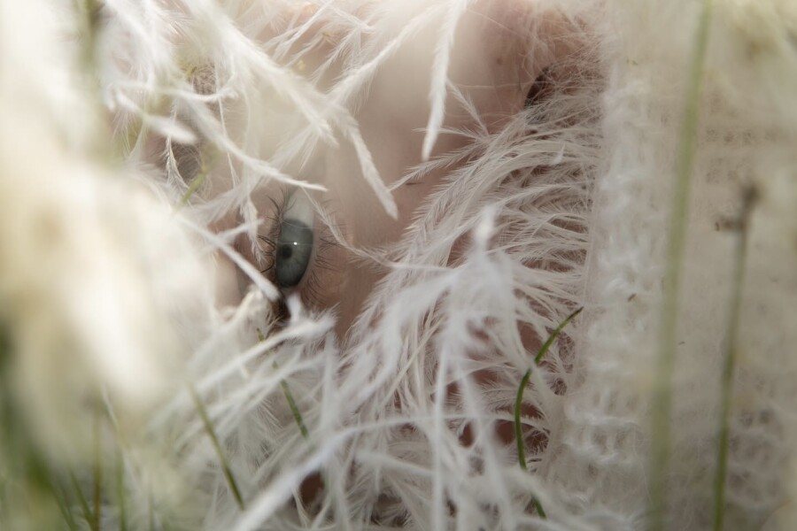 Березы, косы и полевые венки. Стартерпак свадьбы