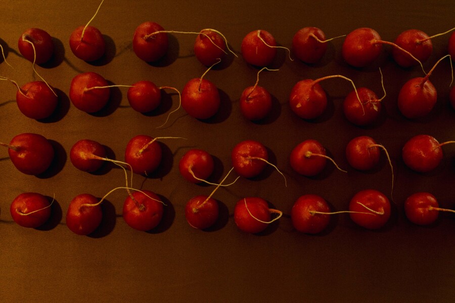 Названы лучшие площадки для мероприятий в России: