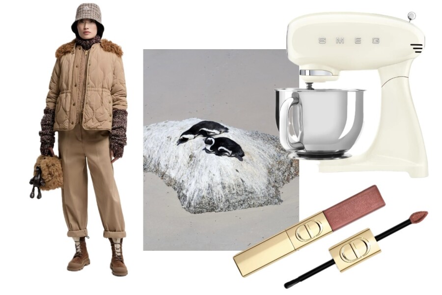 Мечтаем по-крупному: что загадала редакция TOP15MOSCOW на