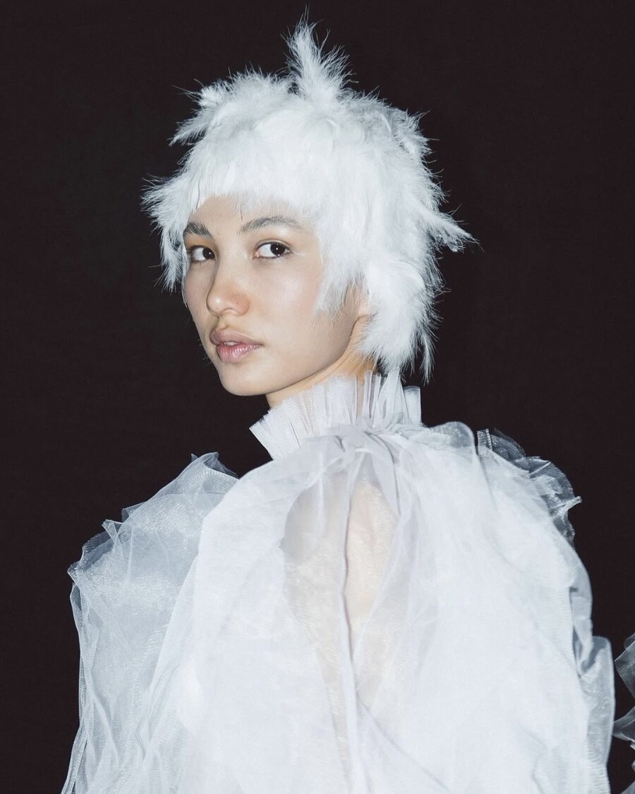 Почему оммаж на лебедей — один из