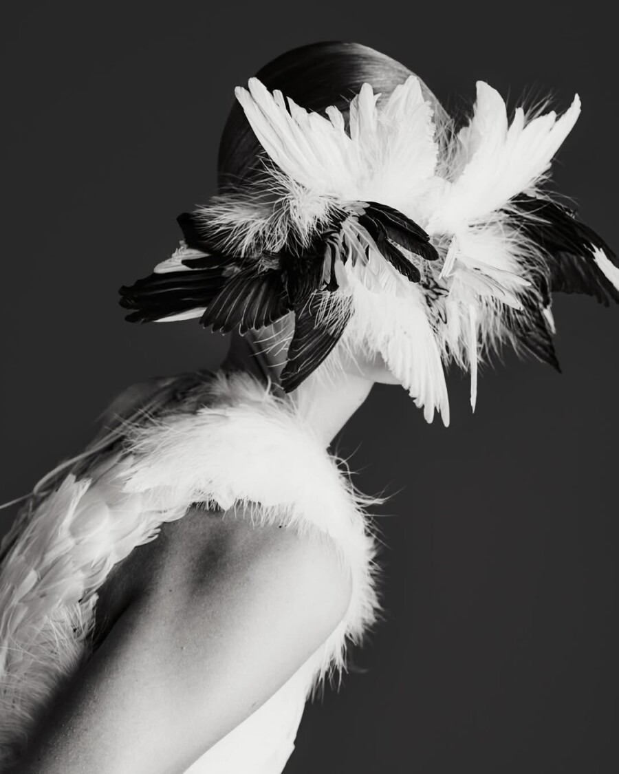 Почему оммаж на лебедей — один из