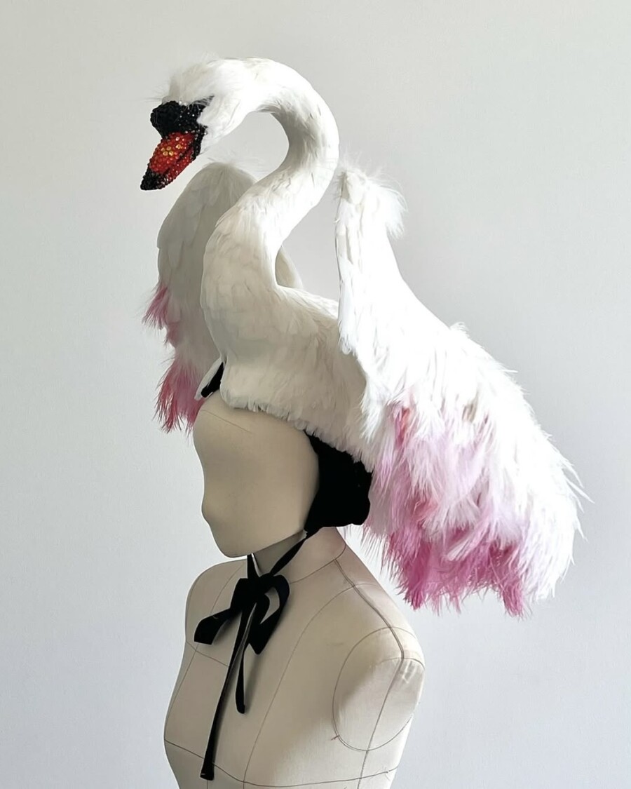 Почему оммаж на лебедей — один из