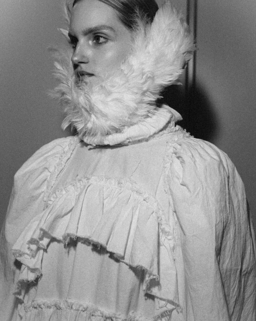 Почему оммаж на лебедей — один из