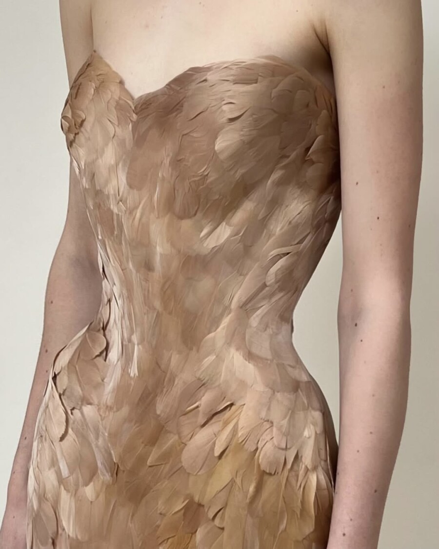 Почему оммаж на лебедей — один из