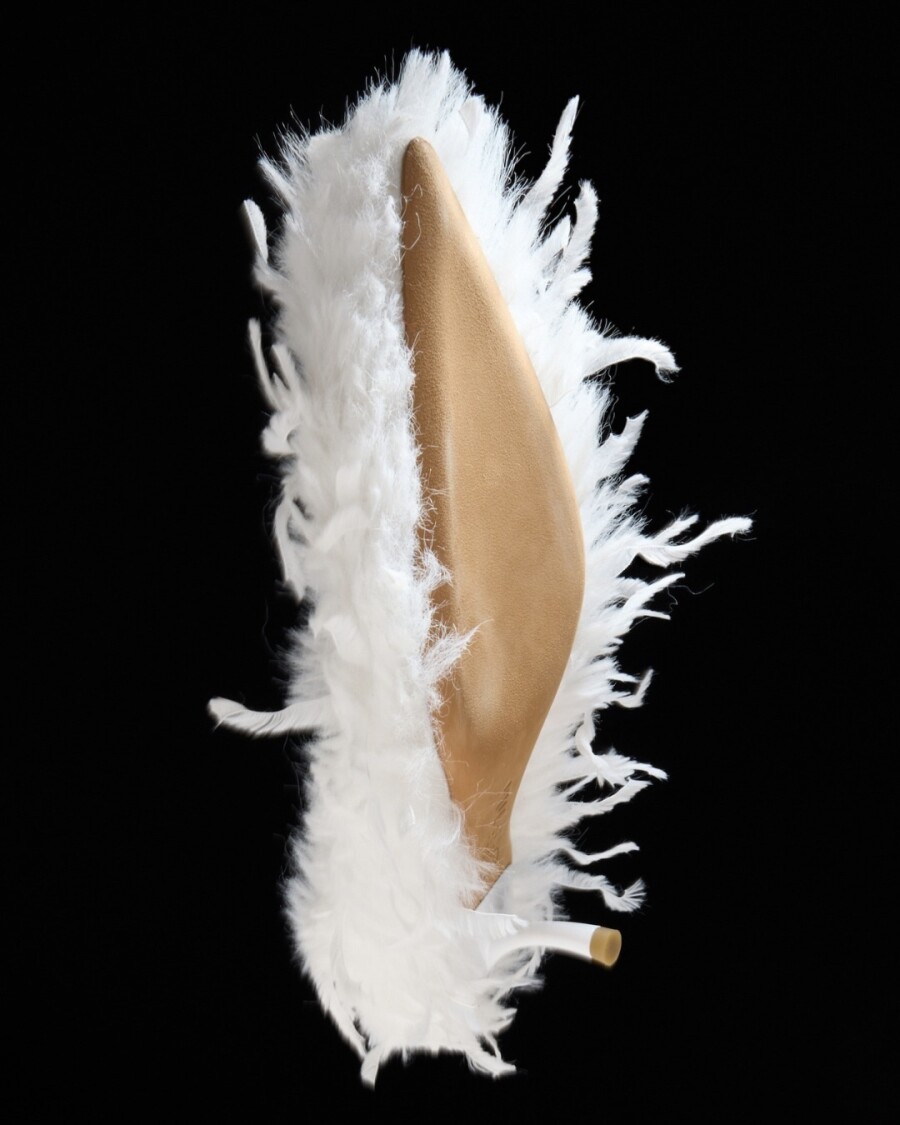 Почему оммаж на лебедей — один из