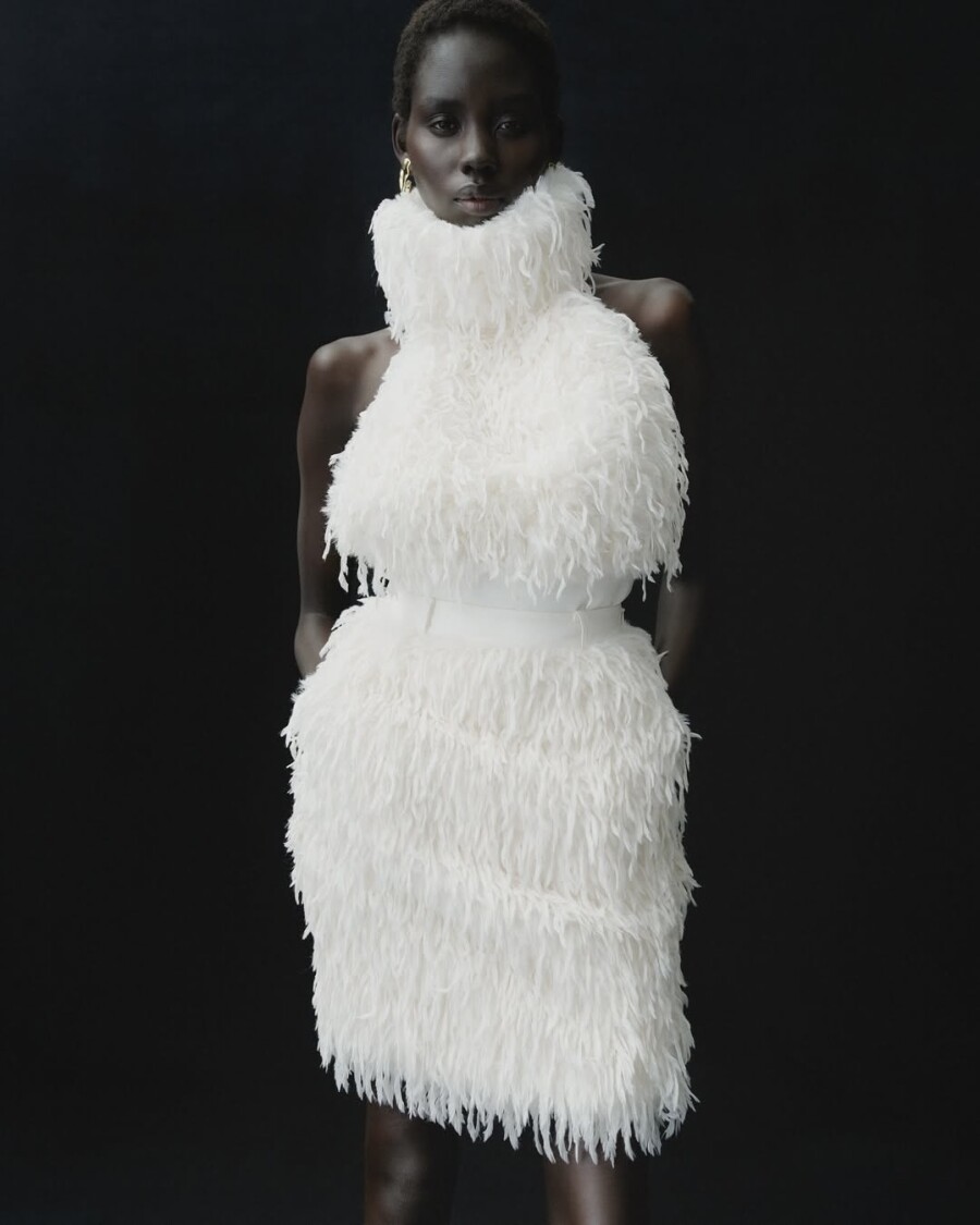 Почему оммаж на лебедей — один из