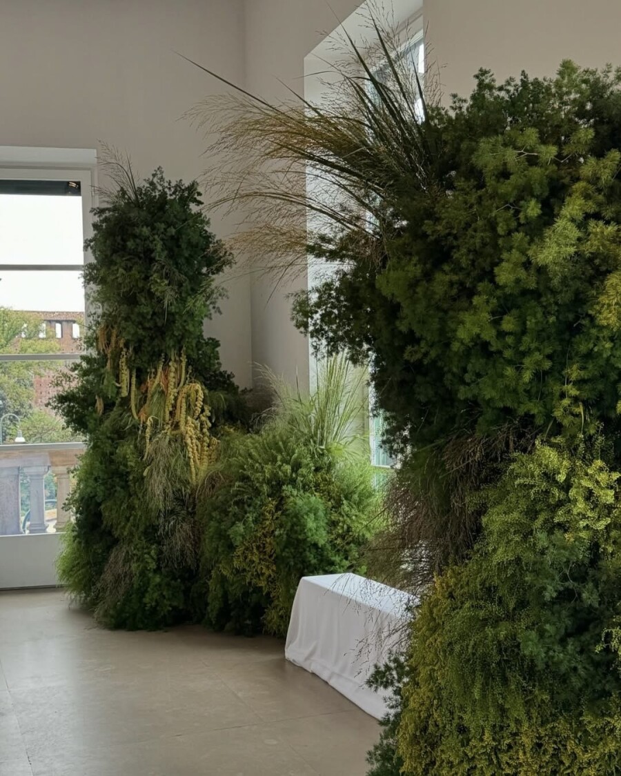 Pinterest выбрал трендовые цвета — 2026. Как