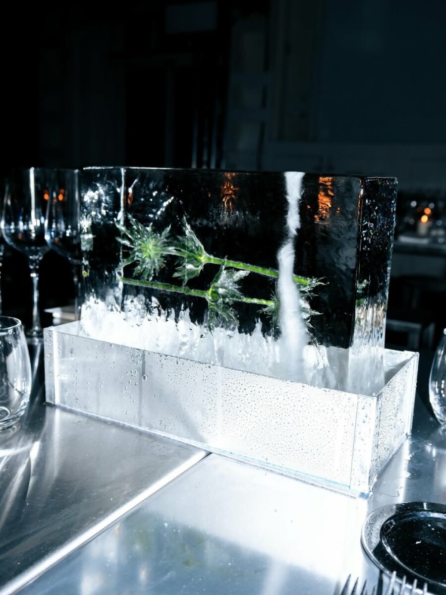 7 необычных ивентов февраля 2026 года, которые