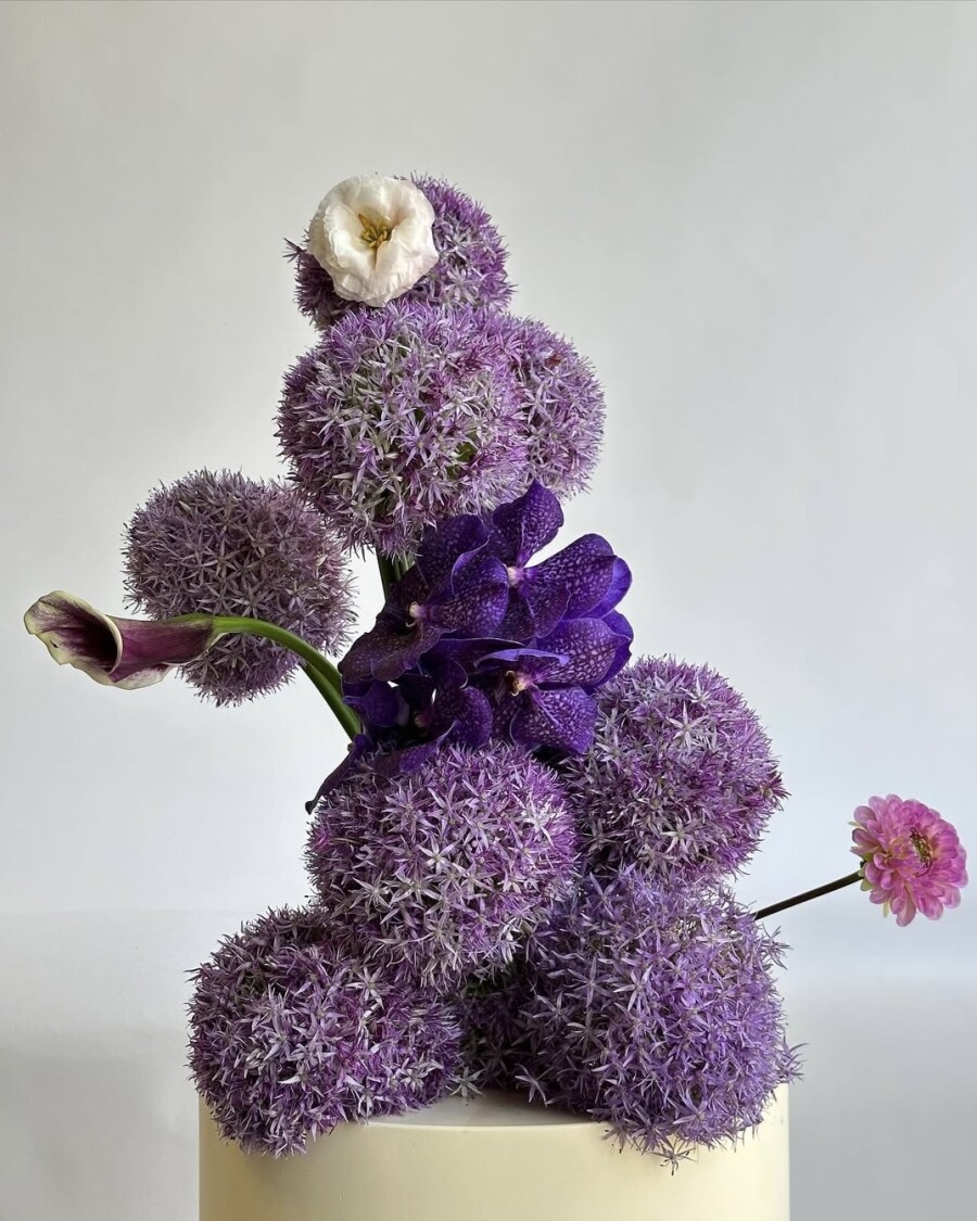 Pinterest выбрал трендовые цвета — 2026. Как