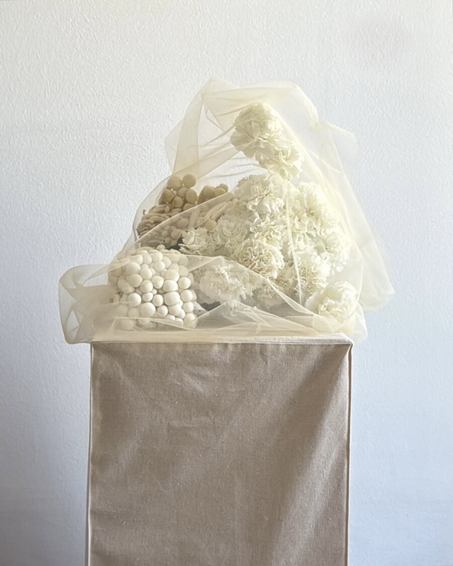 Pinterest выбрал трендовые цвета — 2026. Как