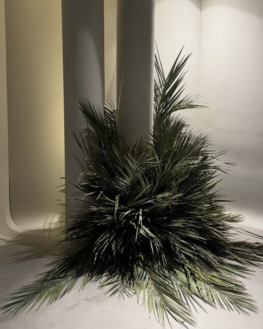 Pinterest выбрал трендовые цвета — 2026. Как