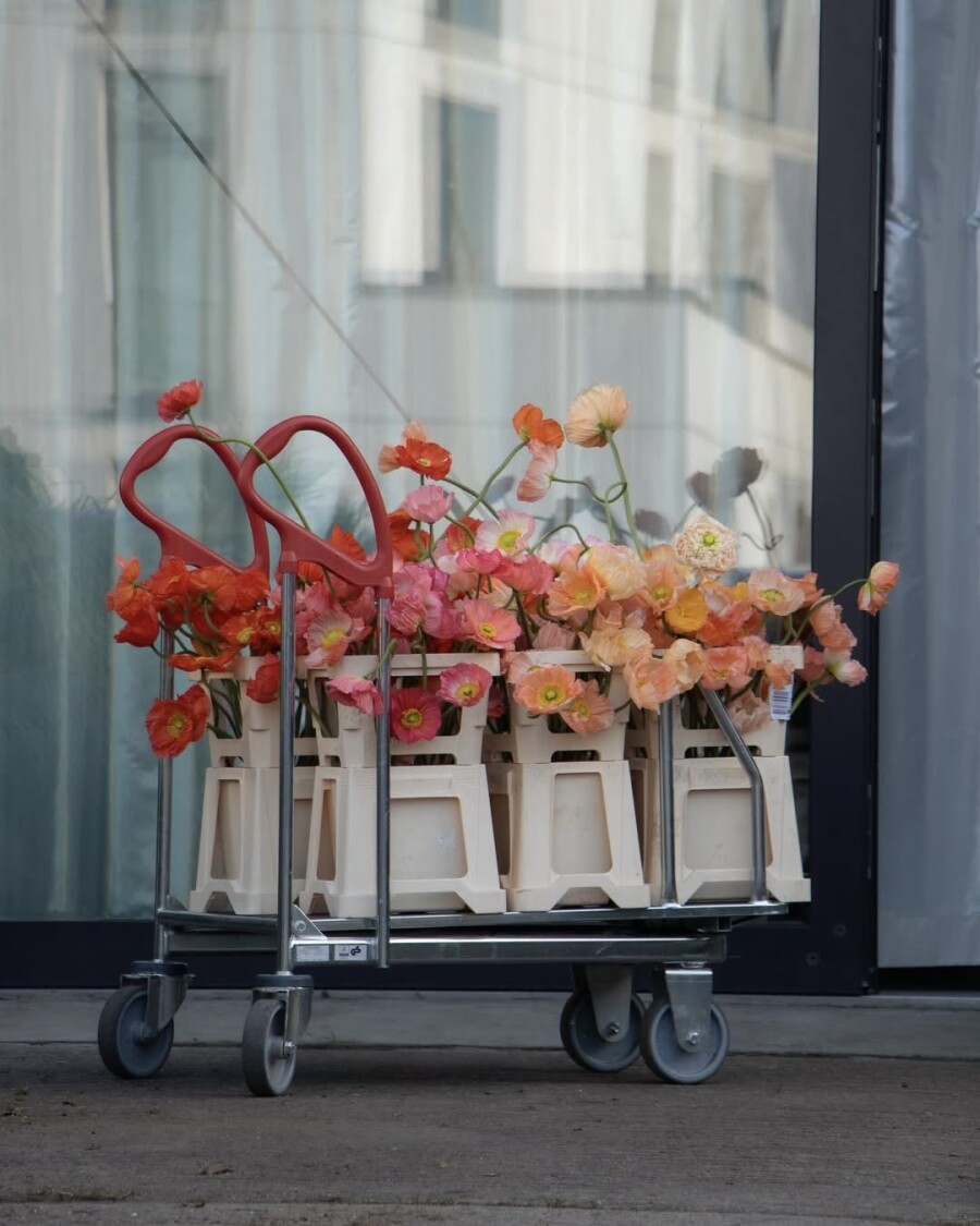 Pinterest выбрал трендовые цвета — 2026. Как