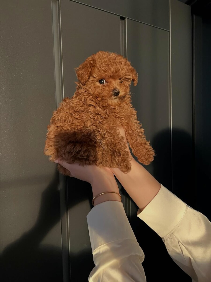 Подарки для нее за 1 000 000