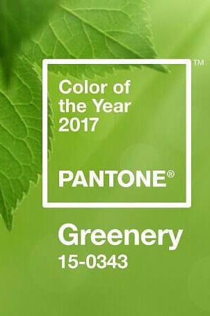 Модные Цвета Еvent-Индустрии от Pantone
