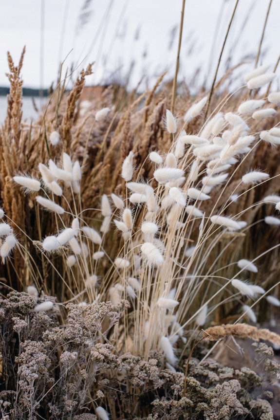 Как сделать свадьбу экологичной