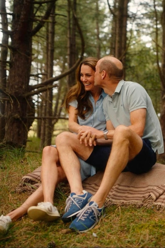 Все, что вы хотели, но могли не