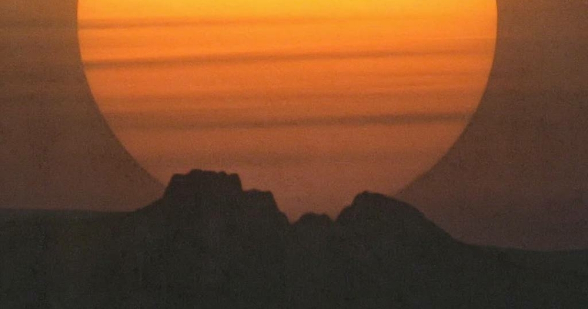 Cезон Тельца: что это значит для каждого