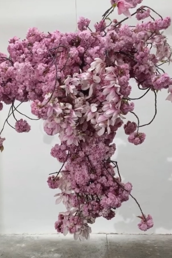 Сакура в Москве: где смотреть за цветением в 2026 году