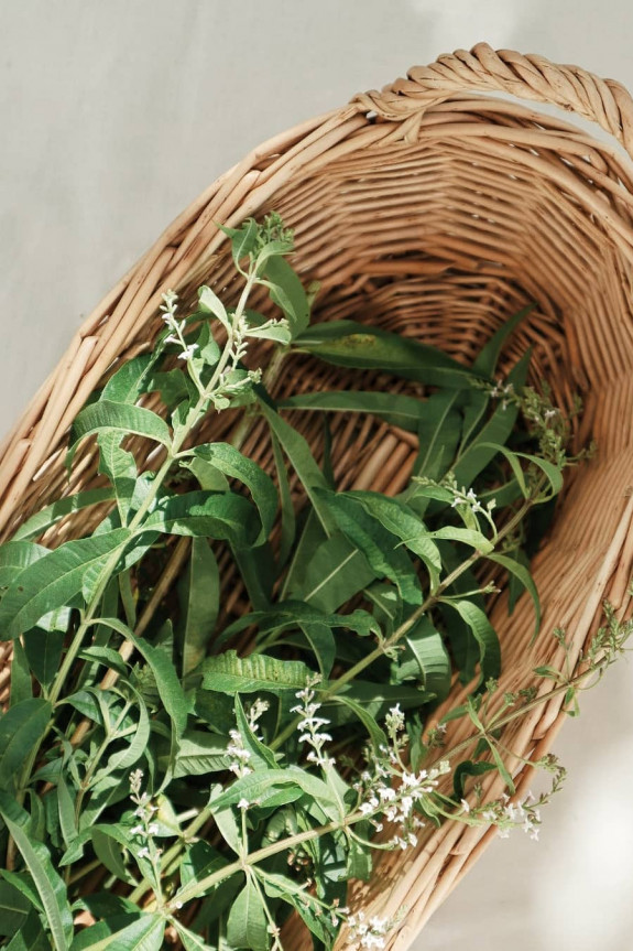 Bridal Bouquets with herbaceous for wedding 2021