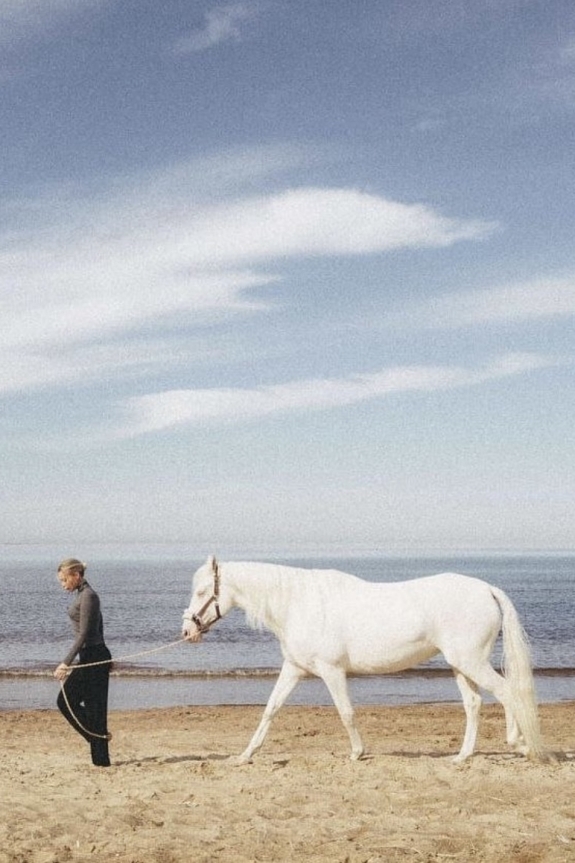 Чем заняться в Москве в эти выходные?