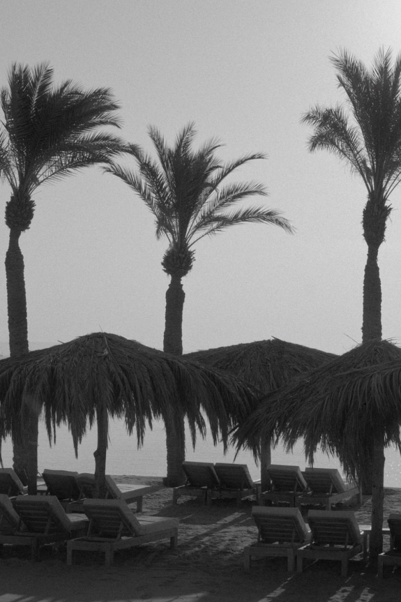 Куда поехать в медовый месяц осенью 2024 — лучшие пляжные направления