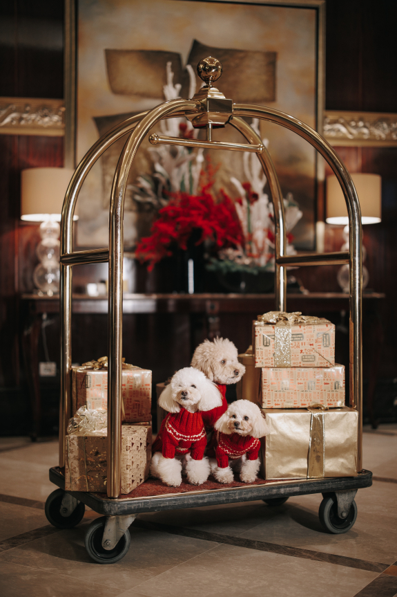 Где встретить Новый год: 18 отелей Москвы