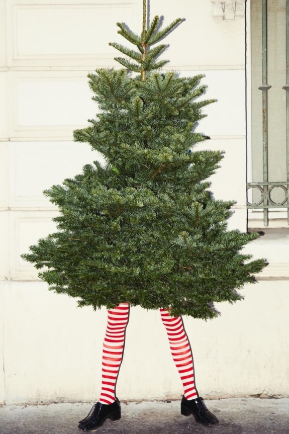 Новогодние плейлисты для любого настроения