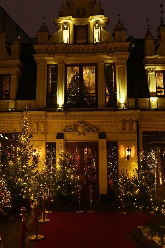 Новый год в ресторане | Новый 2025 год в ресторане в Москве