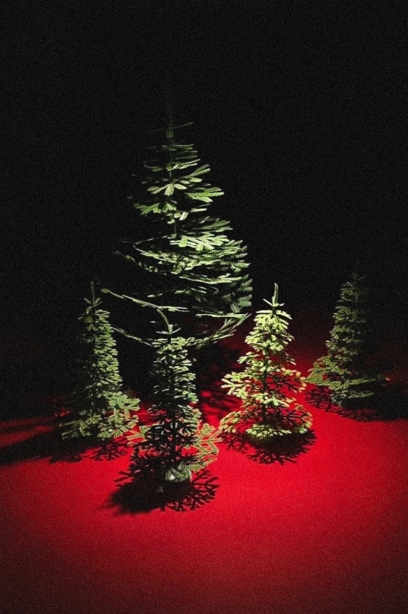 Праздничное лото в «Переделкине», Guilty pleasure в