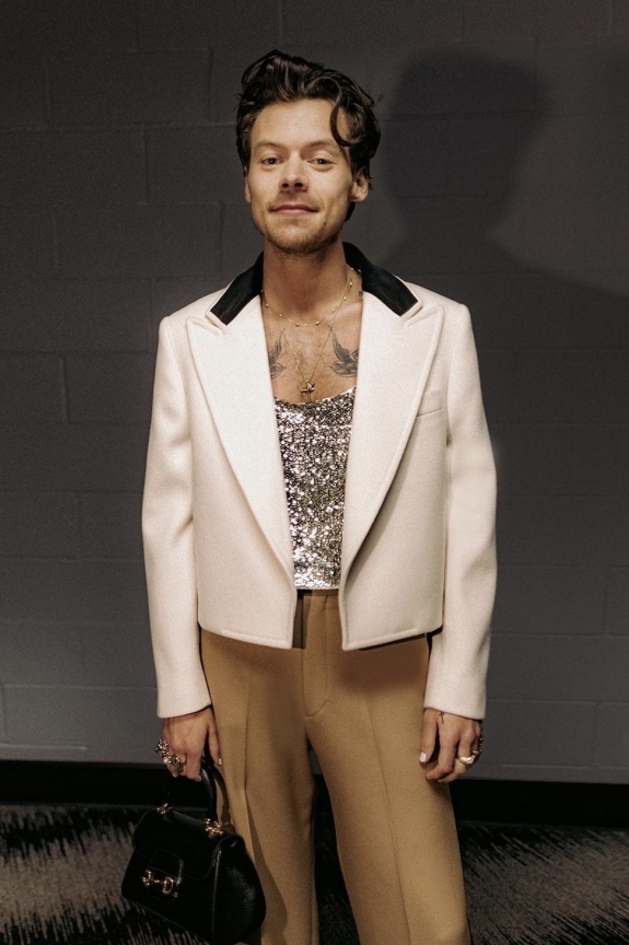 11 смелых образов беременной Рианны