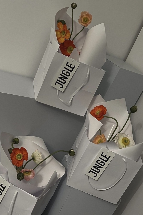 Вечер с Аленом Делоном и Роми Шнайдер,