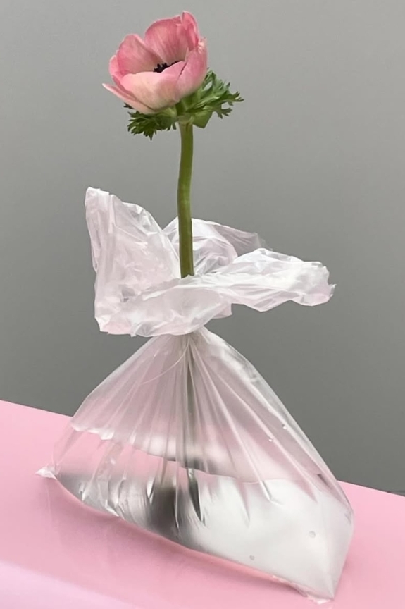 Какие цветы дарить, чтобы они не завяли