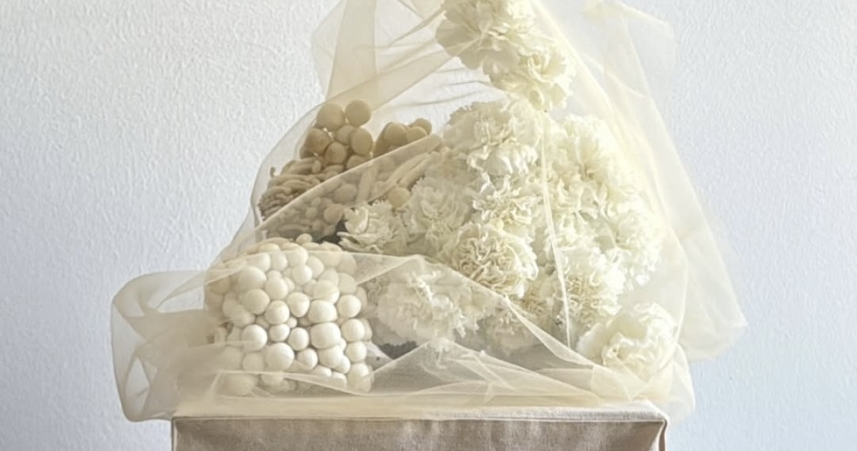 Pinterest выбрал трендовые цвета — 2026. Как