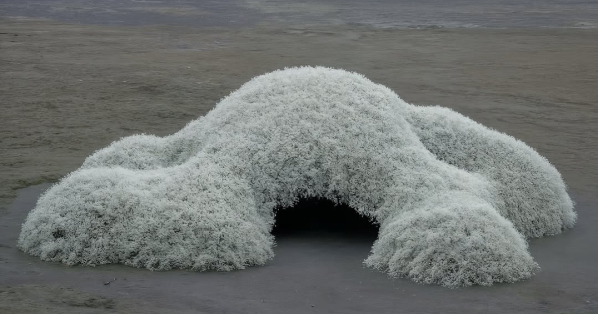 Не просто арка: 7 главных трендов оформления