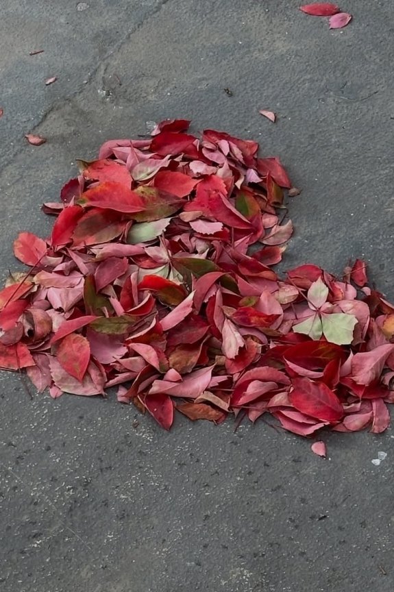 Самый сложный выбор — список гостей на