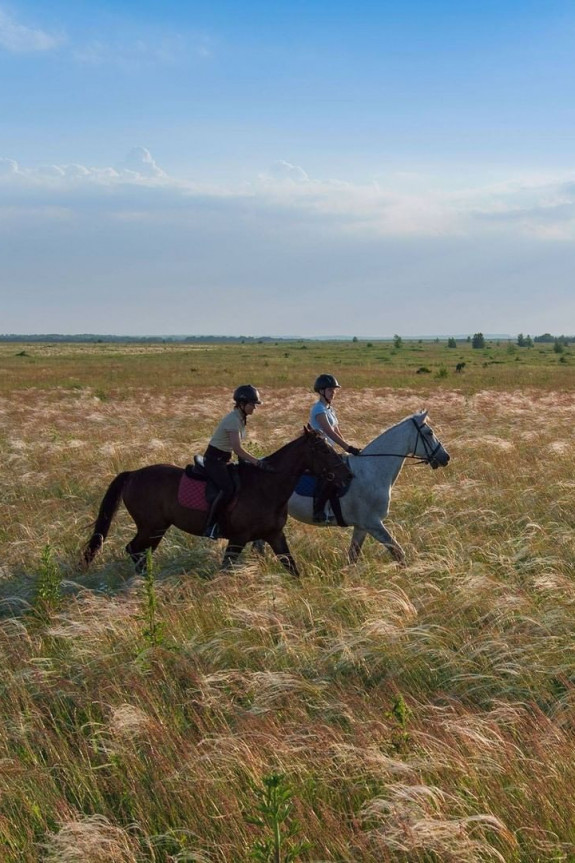 Девичник. Развлечения для тех, кто не любит