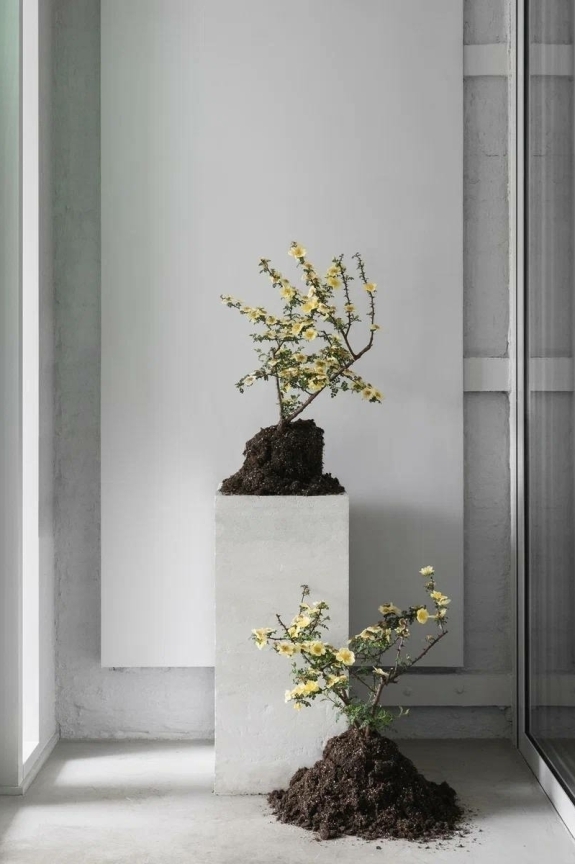 Как оформить свадебный стол с помощью еды?