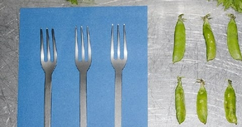Вот 10 классных локаций, где можно устроить