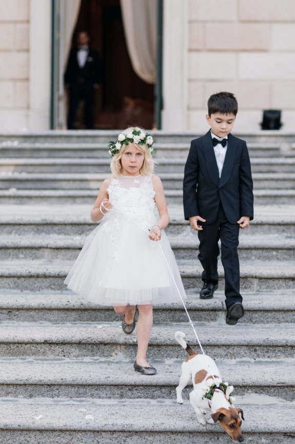 Домашние животные на свадьбе | Всё о животных на свадьбе